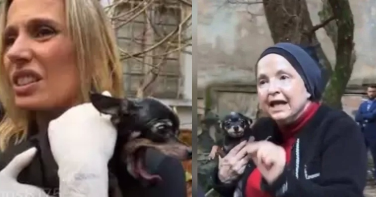 Luisa Mell é criticada após tomar cachorro de moradora da 'Casa Abandonada'; veja vídeo