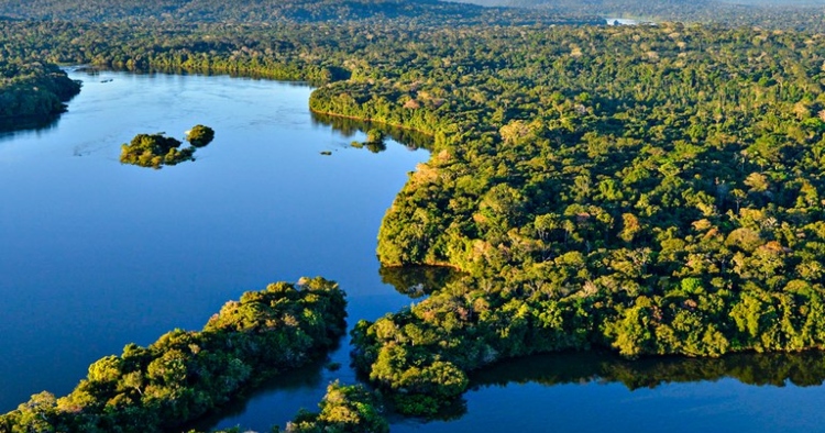 Estados da Amazônia Legal terão plano de segurança interinstitucional
