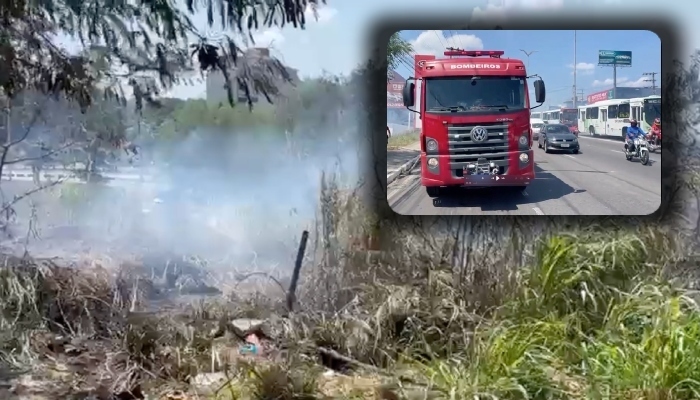 Incêndio causa pânico na avenida Torquato Tapajós; veja vídeo