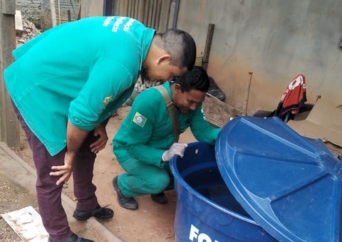 ALERTA: casos de dengue e febre Oropouche têm crescimento disparado em Manaus