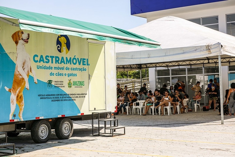 Castrações solidárias: atendimento no Castramóvel é retomado no Parque Dez; saiba como agendar