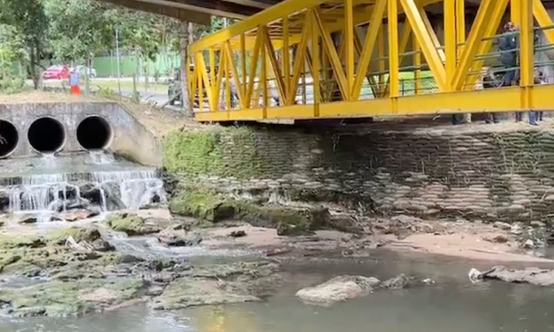 Corp0 com sinais de tortur4 é desovad0 no igarapé do Parque dos Bilhares; veja vídeo