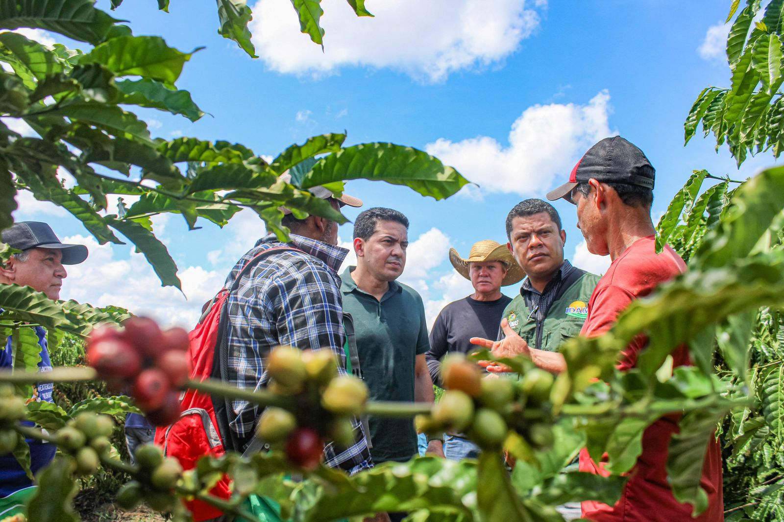Emendas do Delegado Péricles impulsionam produção de café no Distrito de Realidade