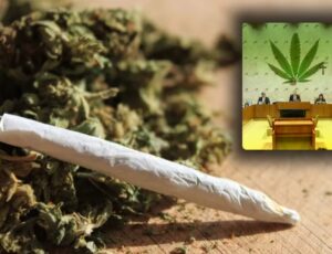 Quantidade de maconha liberada pelo STF rende entre 40 a até 133 baseados