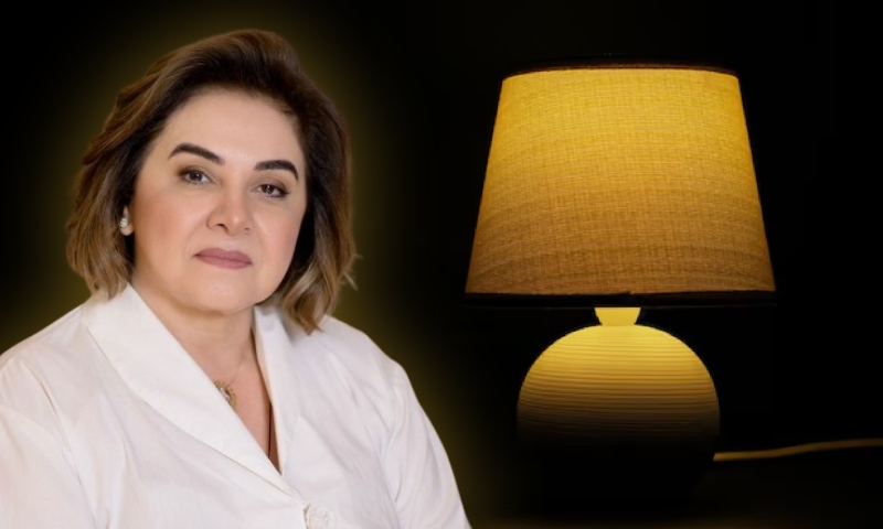 "Virou abajur?": Maria do Carmo é criticada após abandonar candidatura de prefeita para ser vice de Alberto Neto; veja vídeo