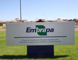 Governo Lula deveria investir R$ 300 milhões na Embrapa para manter pesquisa agronômica viva no Brasil