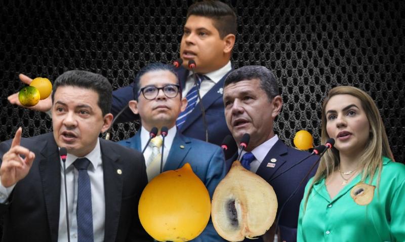 Direita na ALEAM "comendo abiú": deputados seguem em silêncio e sem fiscalizar o Executivo há mais de 3 anos