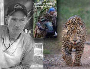 C0rpo do caseiro atacado por onça é encontrado no Pantanal; veja vídeo