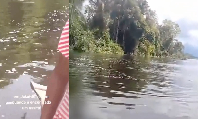 Corp0 boiando em rio de Jutaí é encontrado por crianças; veja vídeo