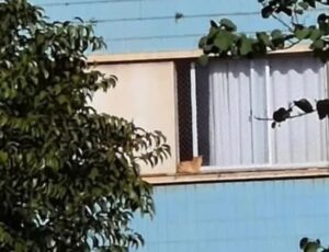 "Taradão" é preso após mostrar como satisfazia os próprios desejos na janela de apartamento; veja