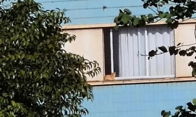 "Taradão" é preso após mostrar como satisfazia os próprios desejos na janela de apartamento; veja