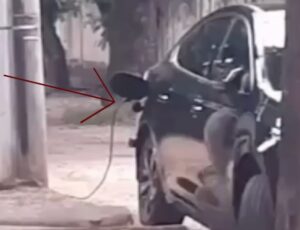Motorista faz ‘gato’ em poste de luz para carregar carro elétrico; veja vídeo