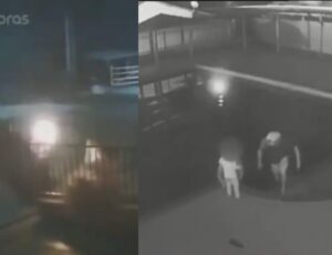 Marido bêbado põe fogo na mulher e ela pula na piscina do vizinho para salvar vida; veja vídeo