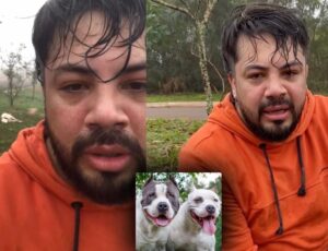 Lutador de Muay Thai é atacado por dois pitbulls e usa técnica para imobilizar cães; veja vídeo