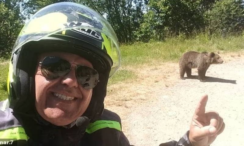 "A última foto": motociclista estaciona para tirar selfie com urso e o pior acontece; veja vídeo