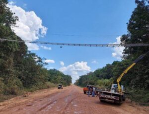 BR-319 ganha Passagem de Fauna e tira mais uma desculpa do Ministério do Meio Ambiente para travar repavimentação
