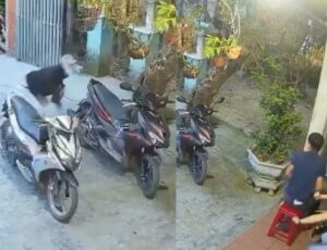 Homem usa latinha de cerveja para se defender de assassino com peixeira e o pior acontece; veja vídeo