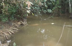 Mulher que estava desaparecida é encontrada da pior maneira possível na beira de rio; veja vídeo
