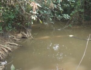 Mulher que estava desaparecida é encontrada da pior maneira possível na beira de rio; veja vídeo