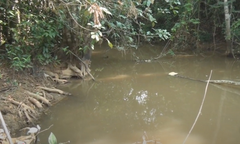 Mulher que estava desaparecida é encontrada da pior maneira possível na beira de rio; veja vídeo