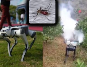 Cães-robôs serão utilizados para eliminar mosquitos em Hong Kong; veja vídeo