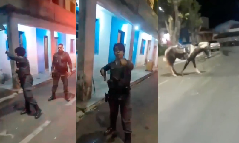 PM atira e mata cavalo durante abordagem: "ela tá despreparada e eu que tô errado?", diz dono do animal; veja vídeo