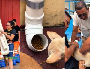 Prefeito Emerson Melo e Grupo Proteger fortalecem cuidado aos cães e gatos com comedouros e vacinas em Beruri; veja vídeo
