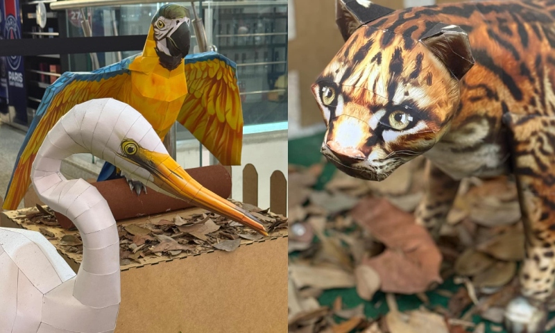 Exposição 'Amazônia de Papel' recria a floresta em forma de arte em Manaus