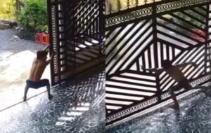Brincadeira besta termina com portão caindo em cima de pai e filho; veja vídeo