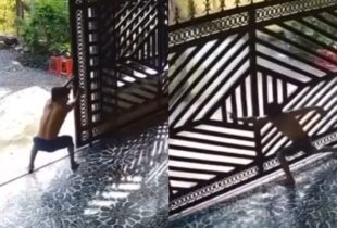 Brincadeira besta termina com portão caindo em cima de pai e filho; veja vídeo