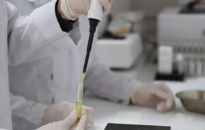 Brasileiro é a 7ª pessoa no mundo a ser curado do HIV com tratamento inovador da Unifesp