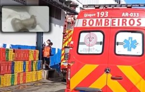 Funcionário de supermercado sofre acidente terrível com moedor de carne; veja vídeo