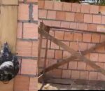Trabalhador sofre acidente gravíssimo com máquina de serra mármore em Autazes; veja vídeo