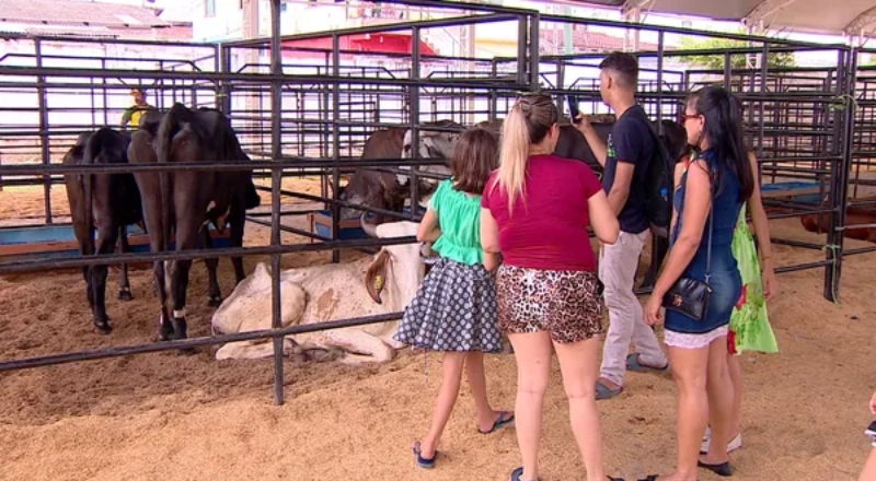 Expoagro segue até o dia 5 de outubro com feira, shows e negócios rurais